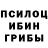 Галлюциногенные грибы GOLDEN TEACHER Jordon Taylor