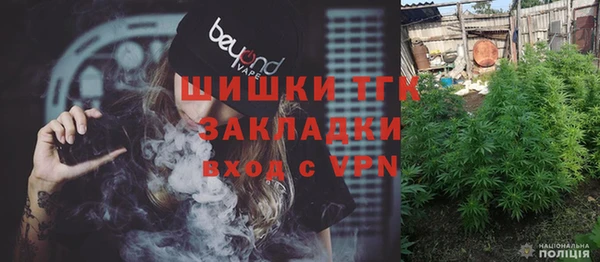 мдпв Киреевск