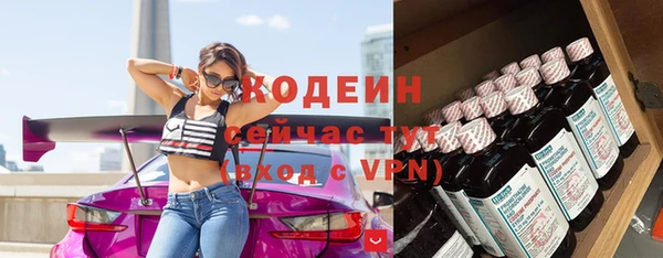 дмт Кодинск