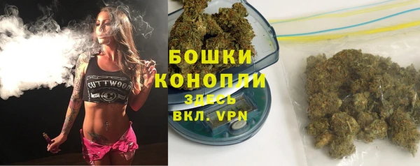 мдпв Киреевск
