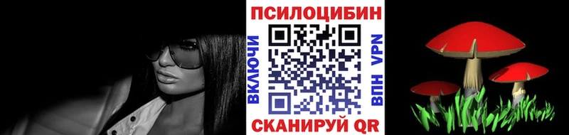 Купить  Тула  Псилоцибиновые грибы MAGIC MUSHROOMS 